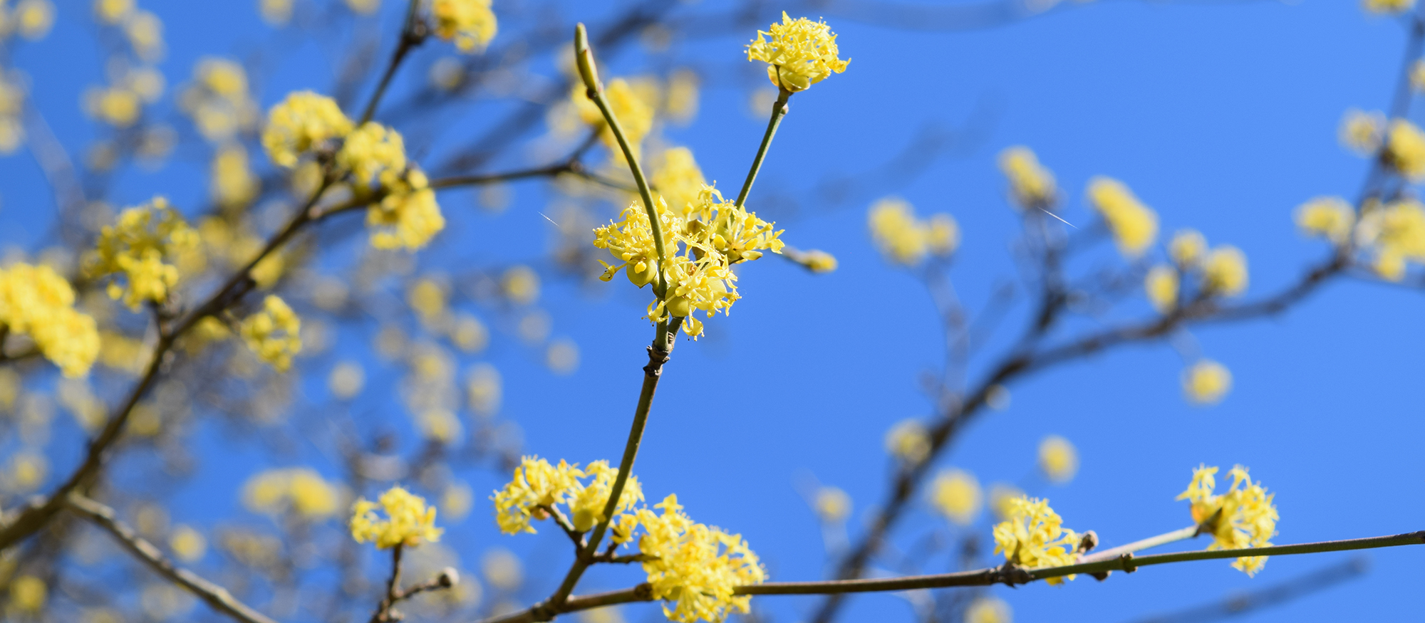 Kort Och Betala Vara Kort Och Andra Betalningssatt Tidaholms
