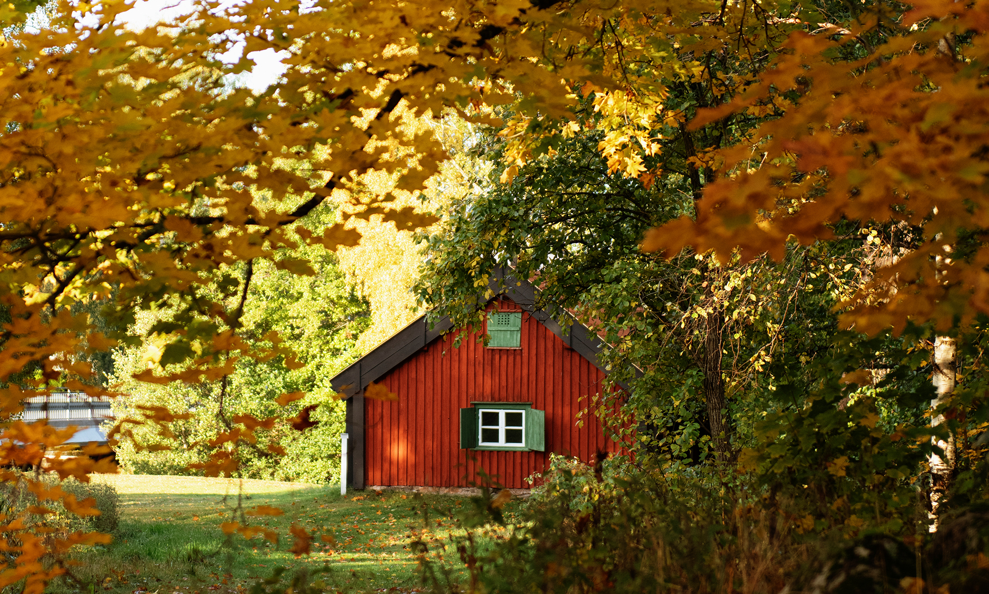Röd stuga i en skog.